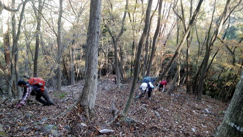 2018.11.25　御前山（尾根歩き）