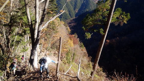 2018.11.25　御前山（尾根歩き）