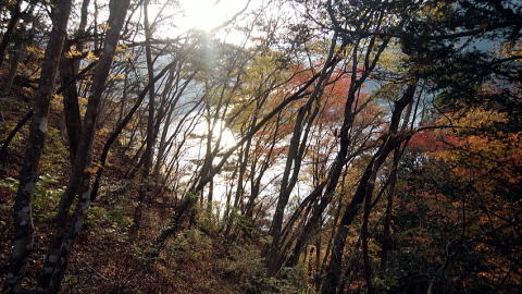2018.11.25　御前山（尾根歩き）