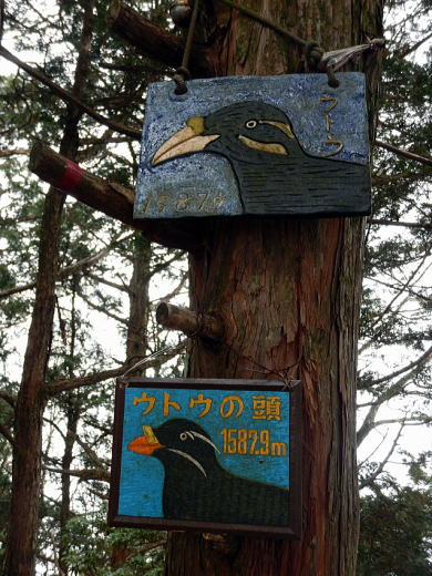 2018.12.8　ウトウノ頭・大京谷ノ峰（尾根歩き）