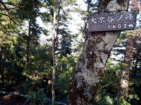 2018.12.8　ウトウノ頭・大京谷ノ峰（尾根歩き）