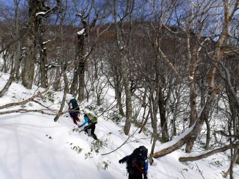 2018.12.22-23 甲子山(雪山)
