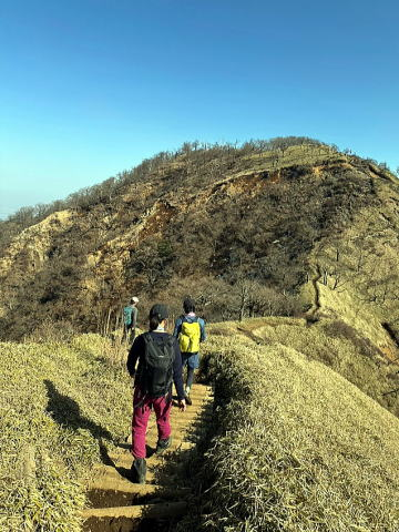 2025.3.2 大倉尾根～塔ノ岳～丹沢山～蛭ヶ岳（尾根歩き）
