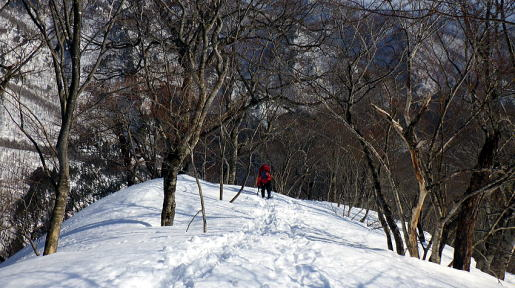 2025.3.22-23 谷川・小出俣山（雪山）