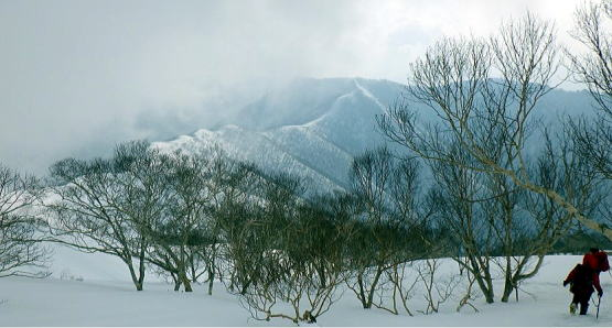 2025.3.22-23 谷川・小出俣山（雪山）