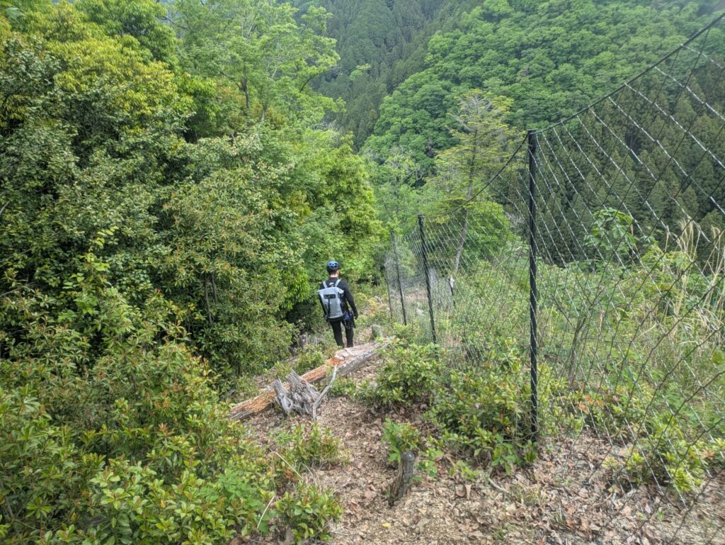2026.5.6　ナメイリ沢＋棡葉窪（沢登り）
