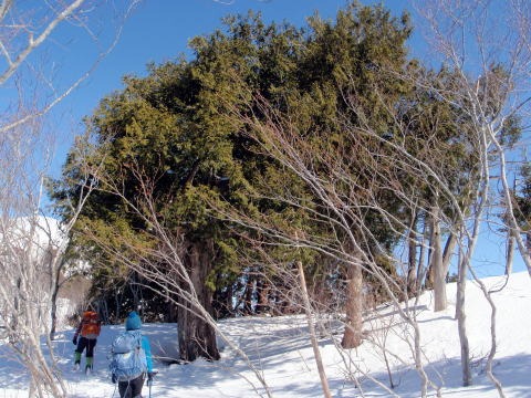 2013.3.16-17 雨ヶ立山(雪山)