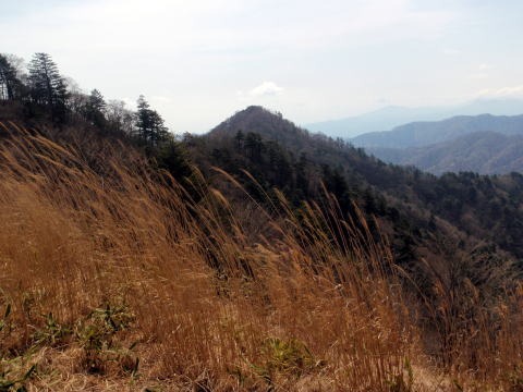 2013.4.14　山伏峠～西丸～東丸（尾根歩き）
