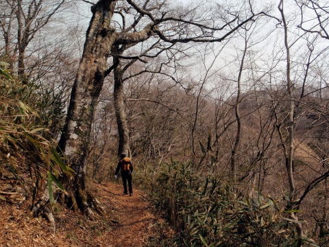 2013.4.14　山伏峠～西丸～東丸（尾根歩き）