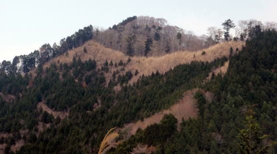 2013.4.14　山伏峠～西丸～東丸（尾根歩き）