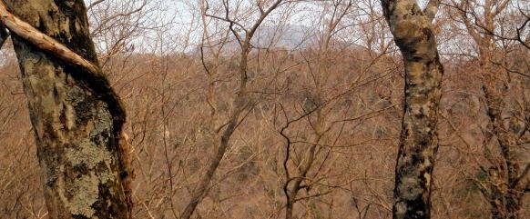 2013.4.14　山伏峠～西丸～東丸（尾根歩き）