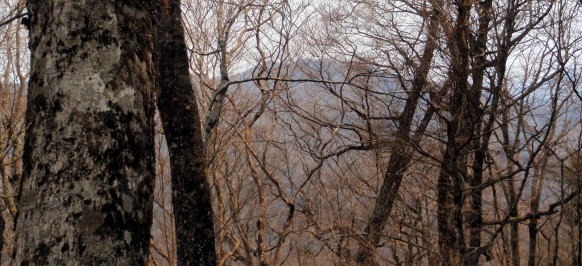 2013.4.14　山伏峠～西丸～東丸（尾根歩き）