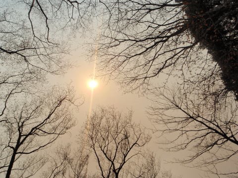 2013.4.14　山伏峠～西丸～東丸（尾根歩き）