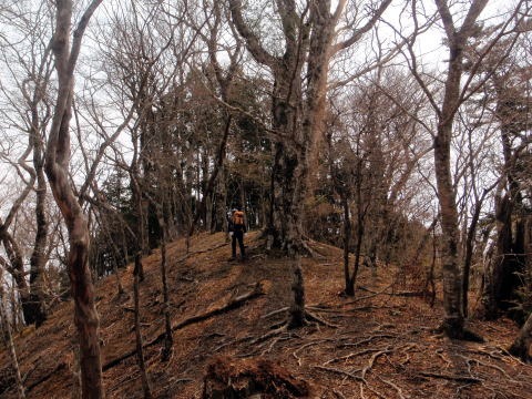 2013.4.14　山伏峠～西丸～東丸（尾根歩き）