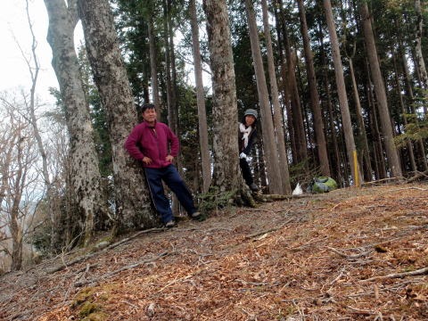 2013.4.14　山伏峠～西丸～東丸（尾根歩き）