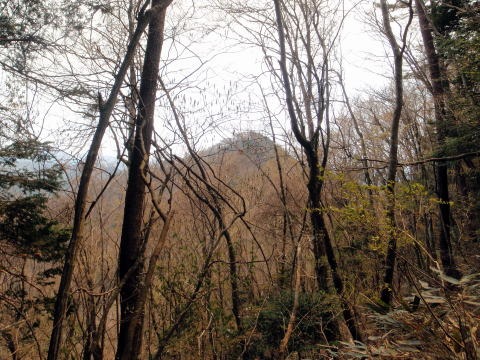 2013.4.14　山伏峠～西丸～東丸（尾根歩き）