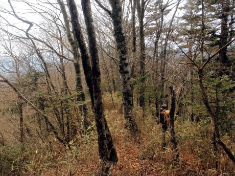 2013.4.14　山伏峠～西丸～東丸（尾根歩き）