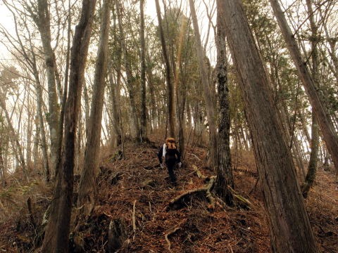 2013.4.14　山伏峠～西丸～東丸（尾根歩き）