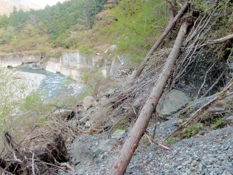 2013.4.14　山伏峠～西丸～東丸（尾根歩き）