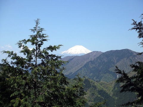 2013.4.28 塔ノ岳(尾根歩き)