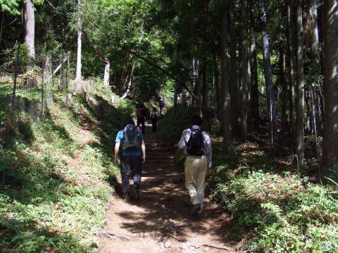 2013.4.28 塔ノ岳(尾根歩き)