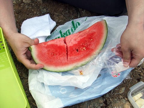 2013.4.28 塔ノ岳(尾根歩き)
