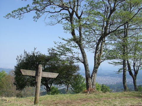 2013.4.28 塔ノ岳(尾根歩き)