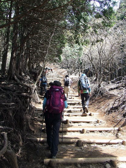 2013.4.28 塔ノ岳(尾根歩き)