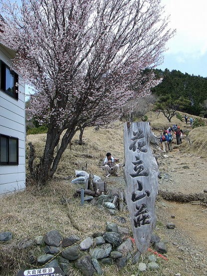 2013.4.28 塔ノ岳(尾根歩き)