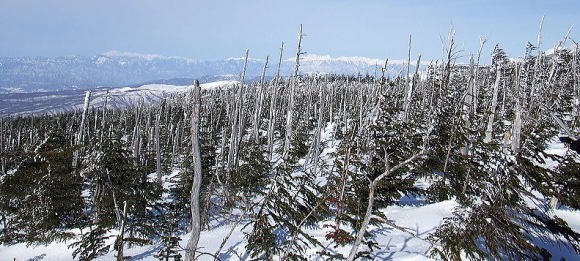 2013.2.16-17　北横岳（雪山）