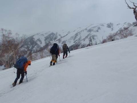 2013.5.3-6　白馬岳 小蓮華尾根（雪山）