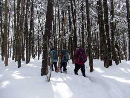 2013.2.16-17　北横岳（雪山）