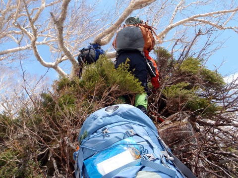 2013.5.3-6　白馬岳 小蓮華尾根（雪山）