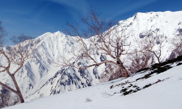 2013.5.3-6　白馬岳 小蓮華尾根（雪山）