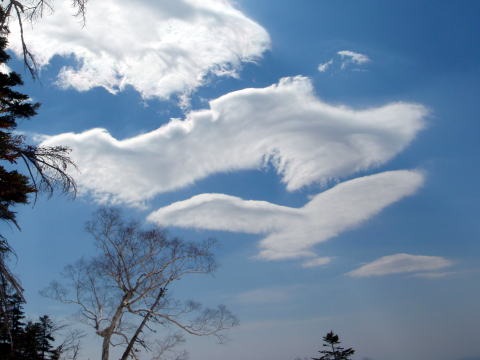 2013.5.3-6　白馬岳 小蓮華尾根（雪山）