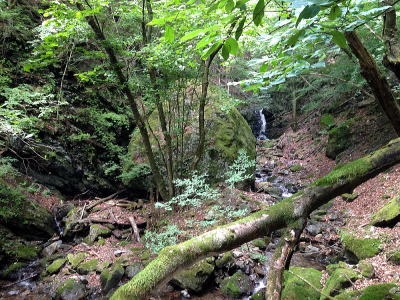 2013.7.7　川苔谷逆川（沢登り）