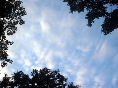 2013.8.10-16　金木戸川小倉谷（沢登り）