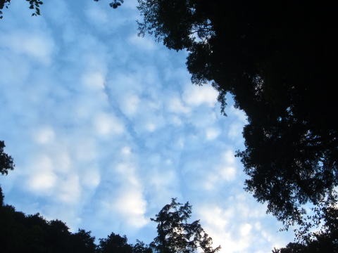 2013.8.10-16　金木戸川小倉谷（沢登り）