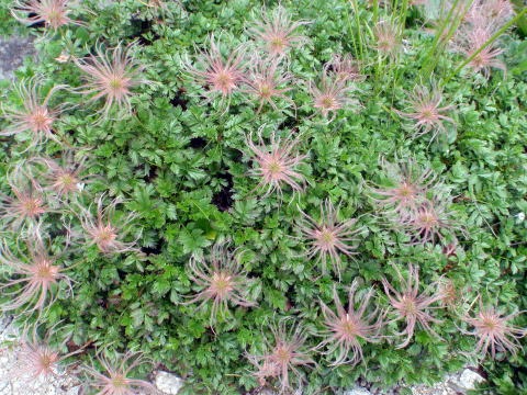2013.8.10-16　金木戸川小倉谷（沢登り）