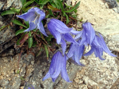 2013.8.10-16　金木戸川小倉谷（沢登り）