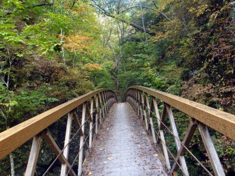 2013.11.3　サカリ山（尾根歩き）