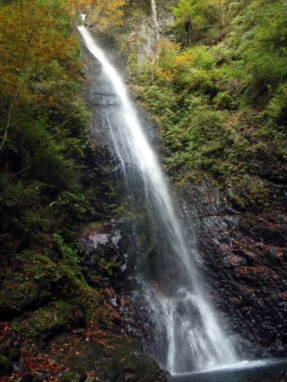 2013.11.3　サカリ山（尾根歩き）