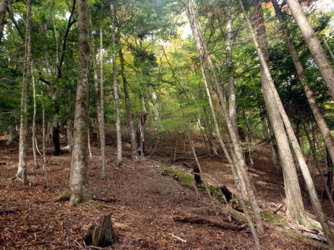 2013.11.3　サカリ山（尾根歩き）