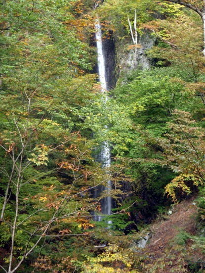2013.11.3　サカリ山（尾根歩き）