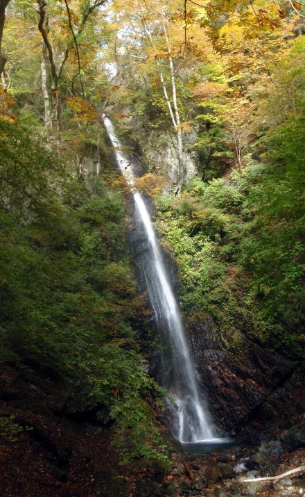 2013.11.3　サカリ山（尾根歩き）