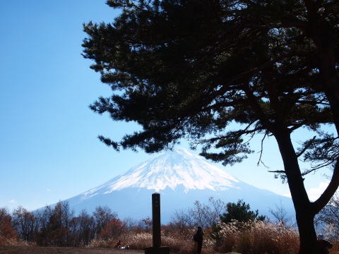 2013.11.17 足和田山(尾根歩き)