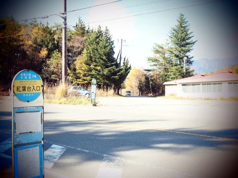 2013.11.17 足和田山(尾根歩き)