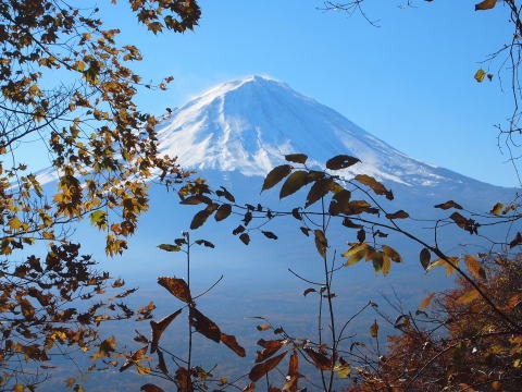 2013.11.17 足和田山(尾根歩き)