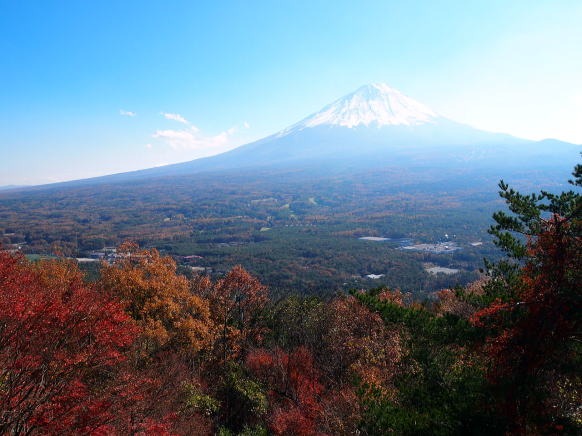 2013.11.17 足和田山(尾根歩き)