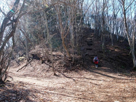 2013.11.17 足和田山(尾根歩き)